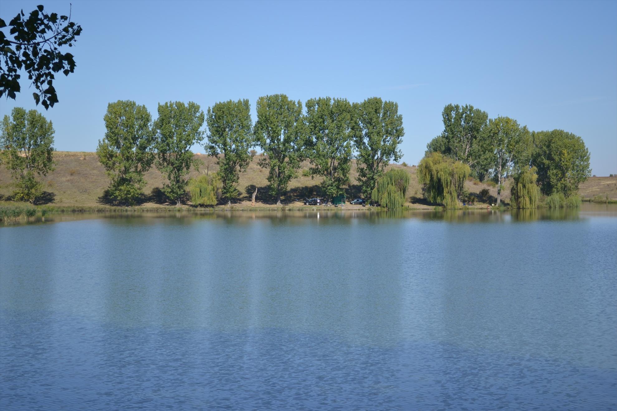 Frasinet was - become - was